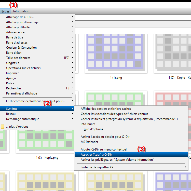 Que signifie l enregistrement de  .qdr pour Quad File Explorer